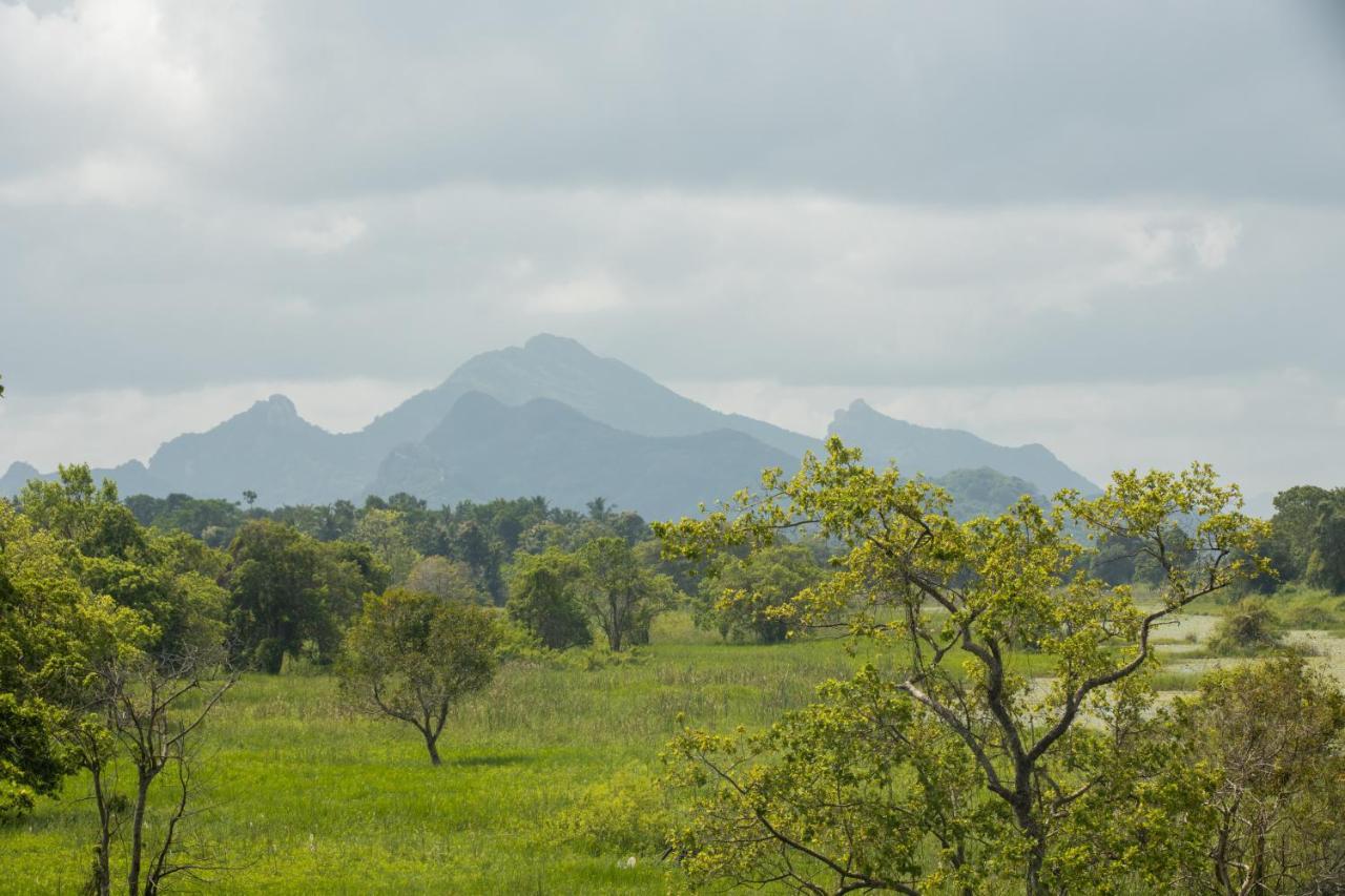 Sigiriya Wewa Addara Hotel - Hotel By The Lake Экстерьер фото